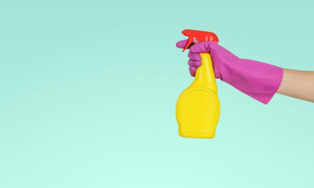 Tarif nettoyage pour société et auto-entrepreneur : guide complet